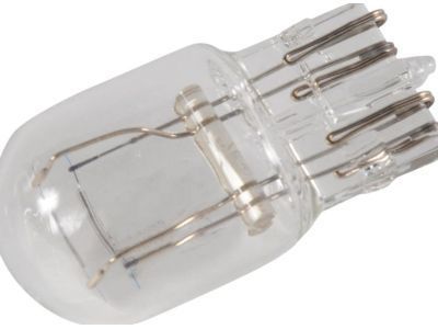 GMC Fog Light Bulb - 13591404