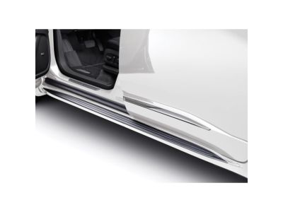 GM Molded Assist Steps in Summit White 84526408