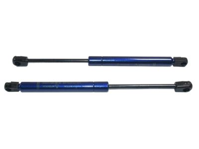 GM Rear Compartment Lid Strut,Note:For Vehicles with Spoiler,Blue (21U) 17801799