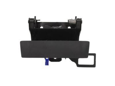 GM Tailgate Handle Assembly in Black 22755305