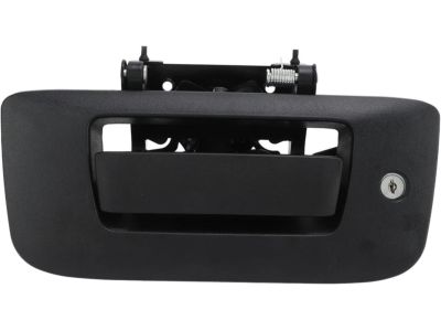 GM Tailgate Handle Assembly in Black 22755305