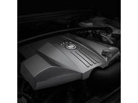 GM Engine Cover,Note:Carbon Fiber,V8 12499961
