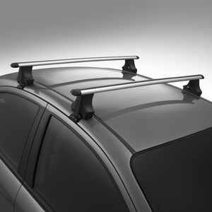 GM Roof Rack - Removable,Note:Bright with Black End Caps 89021859