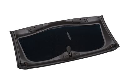 GM Tinted Removable Roof Panel 12499572