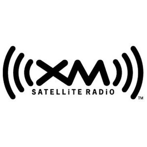 GM XM Satellite Radio 12498768