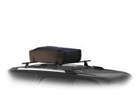 Buick Rendezvous Roof-Mounted Cargo Carrier - 12497827