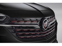 Buick Grille - 42737506