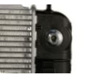 GM 52494386 Radiator Assembly Poa (Part To Change To Nickel Plated Or Bright