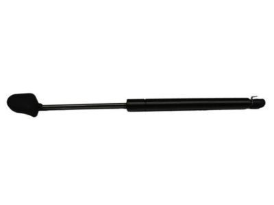 GM 10380000 Strut Assembly, Rear Compartment Lift Window