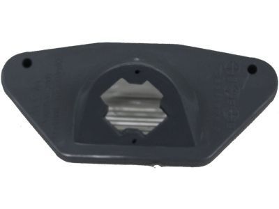 GM 16519986 Lamp Assembly, Rear License