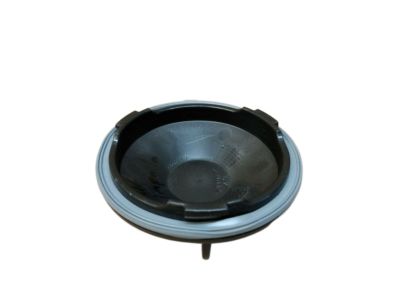 GM 89025061 Cover,Headlamp Bulb Access