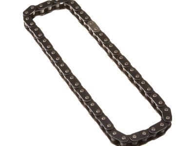 GM 10114177 Chain Assembly, Timing