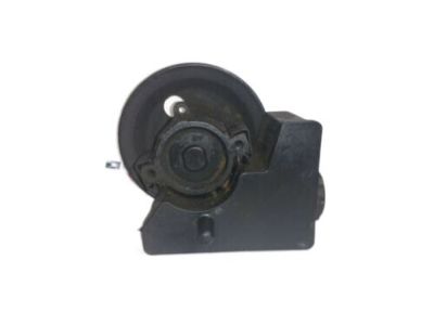 GM 25519310 Pulley Assembly, P/S Pump