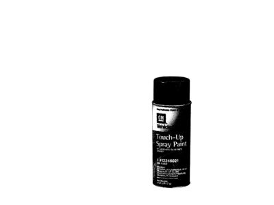 GM 19300675 Paint,Touch, Up Spray (5 Ounce)