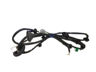 GM 23119263 Harness Assembly, Fwd Lamp Wiring