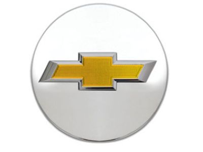 Chevrolet Traverse Wheel Cover - 94775689