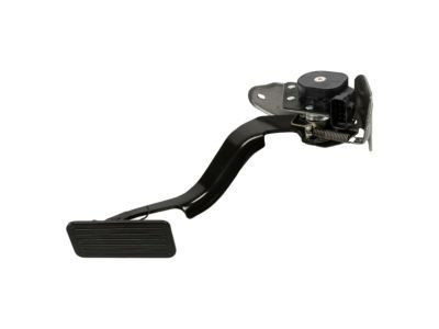 GM 15177923 Pedal,Accelerator(W/Module & Position Sensor)