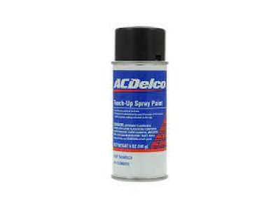 GM 19300669 Paint,Touch, Up Spray (5 Ounce)
