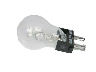 GM 12450064 Bulb,Tail & Turn Signal Lamp