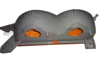 GM 5975817 Lamp Assembly, Parking & Turn Signal