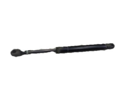 Cadillac CTS Tailgate Lift Support - 15911948