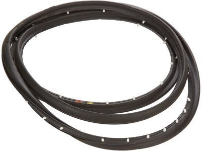 GM 15975379 Weatherstrip Assembly, Front Side Door