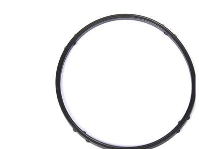 Cadillac CTS Thermostat Gasket - 24447061