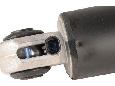 GM 19300053 Rear Shock Absorber Kit