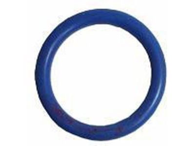 GM 12557752 Seal,Oil Pump(O Ring)
