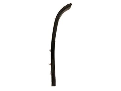 GM 10306046 Weatherstrip,Front Side Door Front Auxiliary