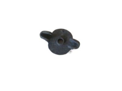GM 14001197 Nut, Air Cleaner
