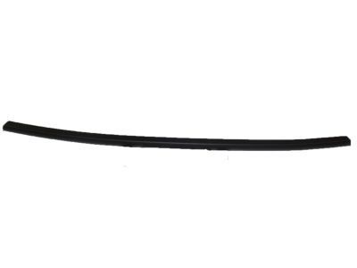 GM 22766375 Weatherstrip Assembly, Rear Side Door Front Auxiliary
