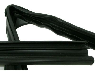 GM 20869144 Weatherstrip Assembly, Front Side Door Window