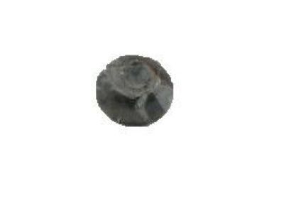 GM 20626295 Nut Hexagon W/Conical Washer W/Paint Cutter