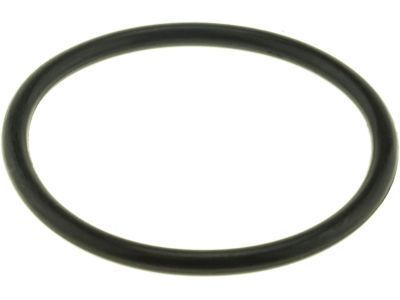 GM 90118437 Seal, Water Outlet (O Ring)