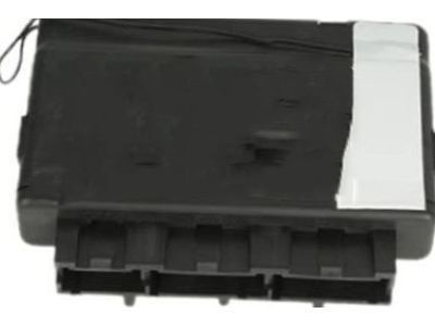 Pontiac Body Control Module - 19116419