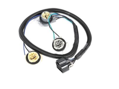 GM 16532724 Harness,Tail Lamp Wiring