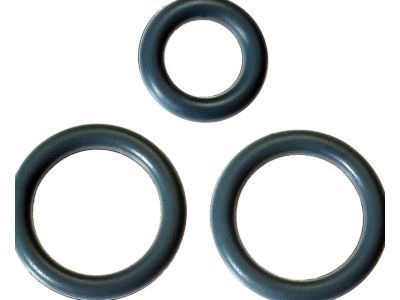 GM 17113552 Seal Kit,Fuel Injection Fuel Rail