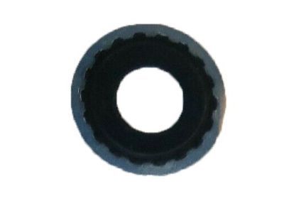 GM 10108689 Seal, Engine Coolant Air Bleed Pipe