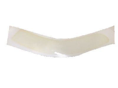GM 15962534 Protector, Front Fender