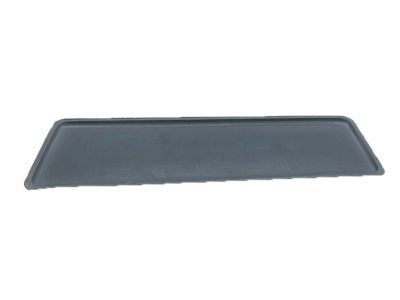 GM 96951323 Strip, Front Side Door Rubber *Jet Black