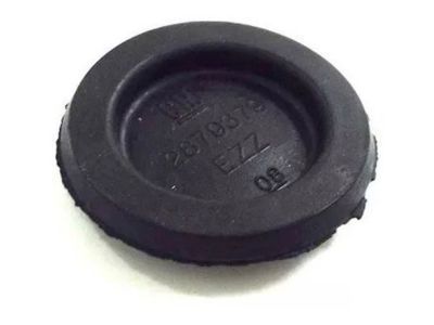 GM 2879379 Cap(Plug),(N00)(Z43/02401)(Z44/78920)