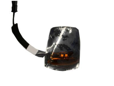GM 22794642 Lamp Assembly, Roof Clearance Outer *Amber