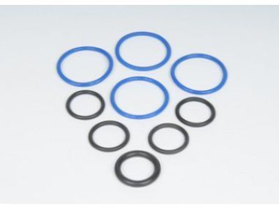 GM 19178983 Seal Kit,Fuel Injector (O Ring)