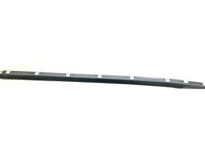 GM 10284223 Sealing Strip Assembly, Front Side Door Window Outer