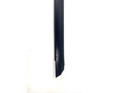 GM 10284223 Sealing Strip Assembly, Front Side Door Window Outer