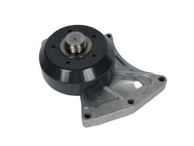 Chevrolet Express Water Pump Pulley - 12625312