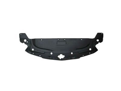 GM 23256458 Shield Assembly, Front Compartment Front Sight *Black