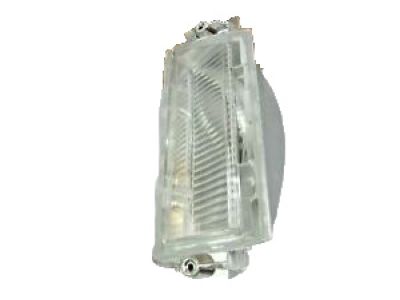 GM 918235 Lamp Assembly, Corner