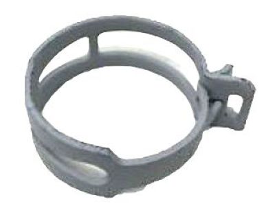 GM 11516220 Clamp, Evap Emission Canister Hose*Silver* *Silver